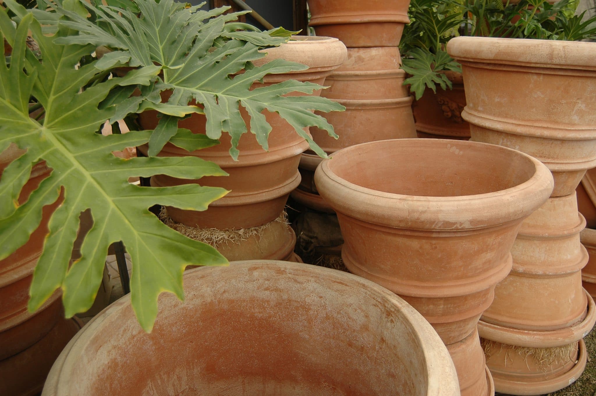 Terra Cotta Planters & Pots - Eye of the Day Garden Design Center